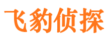 新青捉小三公司